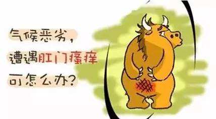 ���ݶ���س�ҽԺ������