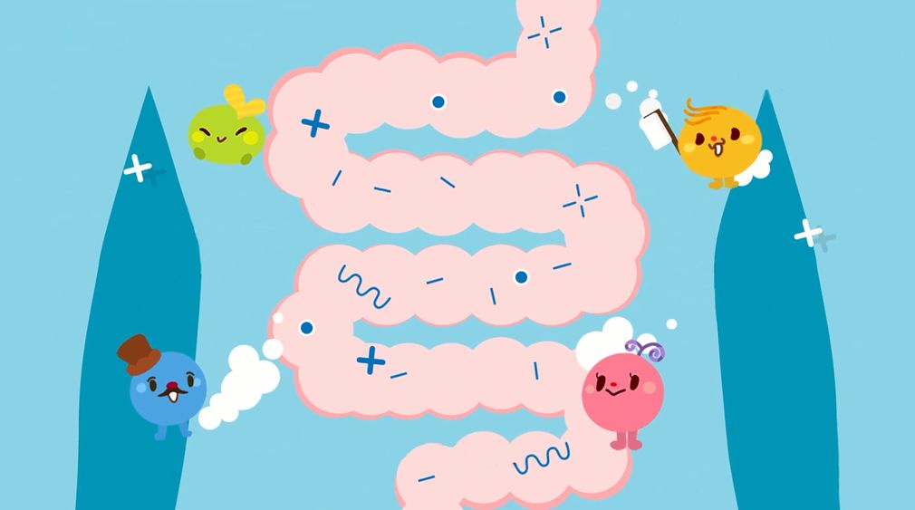 ʮ��ָ�������������κ��� ���ݶ���ҽԺ������