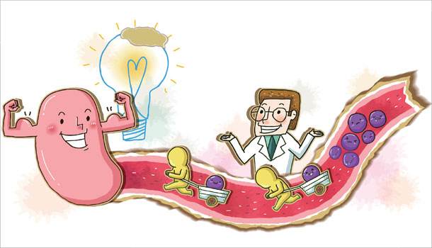 ʮ��ָ������ȷ��Ҫ��ʲô��� ���ݶ���ҽԺ����